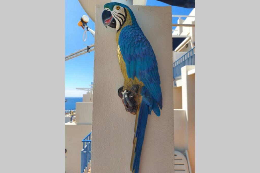 بلايا ذيل كورا Ertel Suite Monte Golf-Vista Mar المظهر الخارجي الصورة